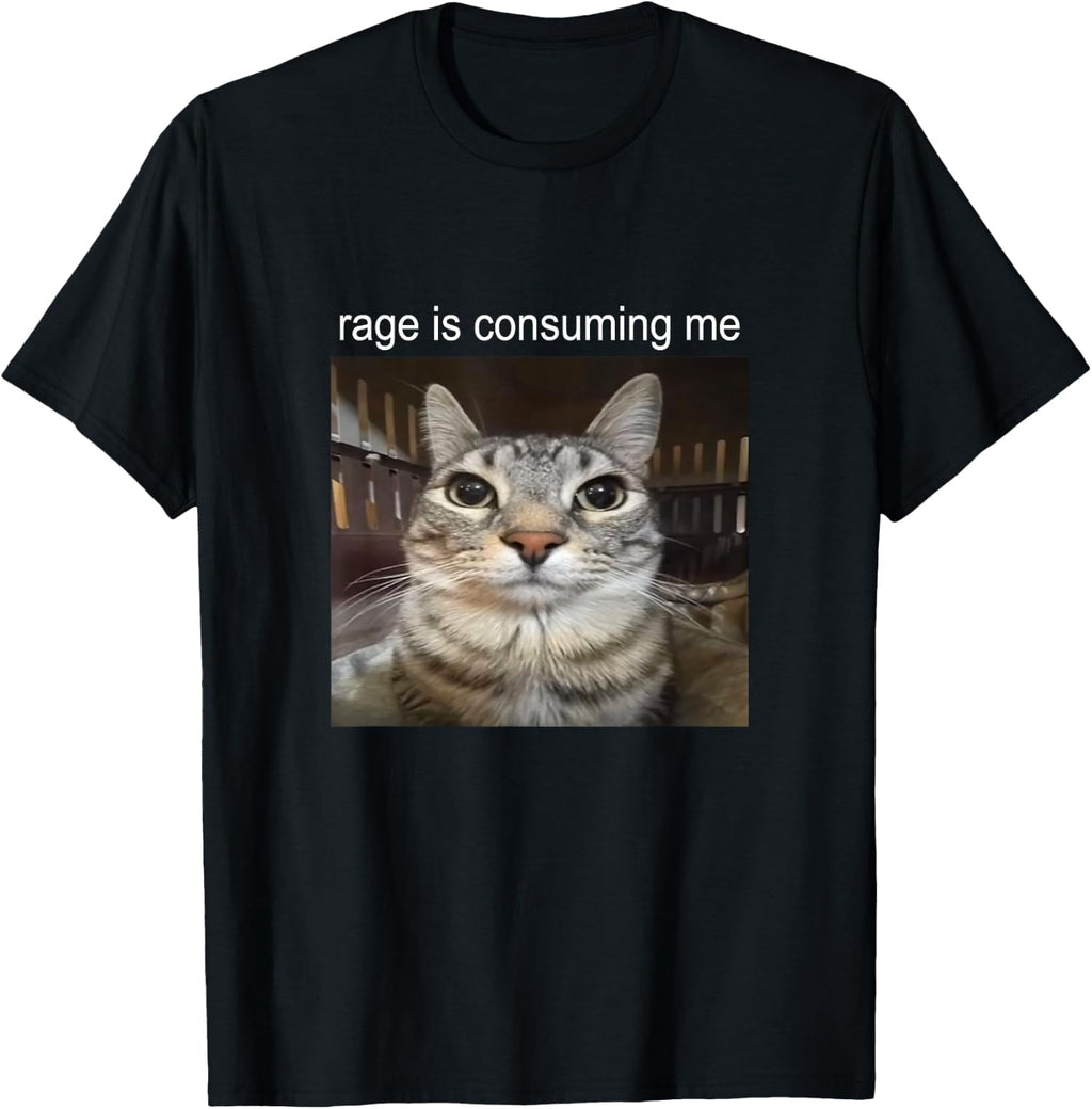 Rage Is Consuming Me - Funny Silly Staring Cat Meme Unisex T-Shirt